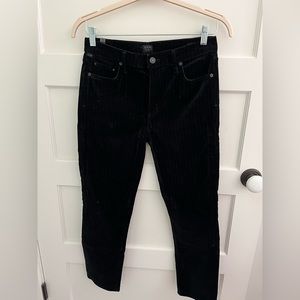 Velvet Citizens of Humanity Trousers